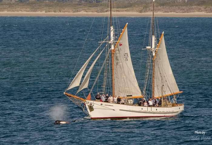 The Tall Ship - Julie Burgess